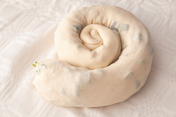 Snail made by pastry dough, with green onion, on a white canvas