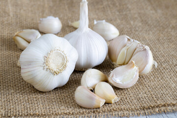 Garlic heads and garlic cloves on a cloth sack