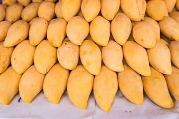Ripe mango, sweet, delicious, golden color, ready to eat. Queen of Thai fruits.