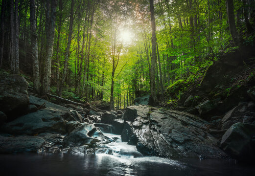 Abetone, stream waterfall inside a forest. Apennines, Tuscany, Italy.