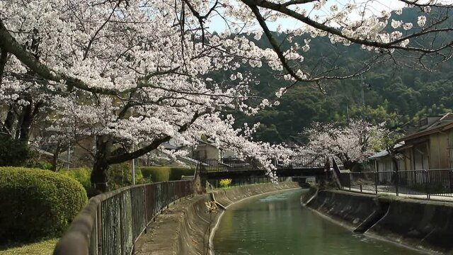 「疏水」の画像 1,065 件の Stock 写真、ベクターおよびビデオ Adobe Stock