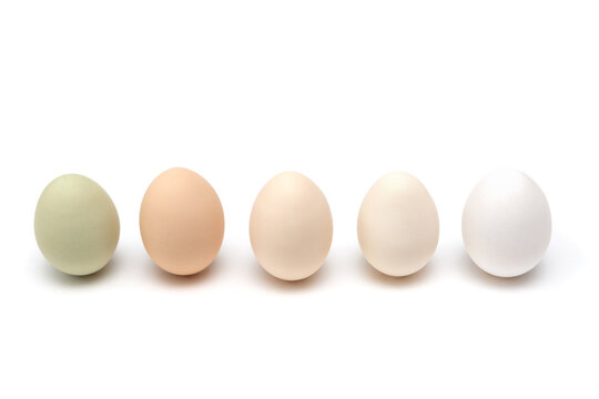 Easter eggs lined up against a white isolated background