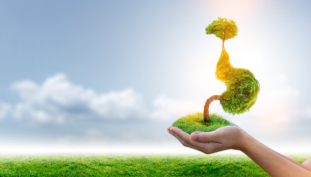 The tree (stomach) is a 3D illustration of the medical environmental concept.
