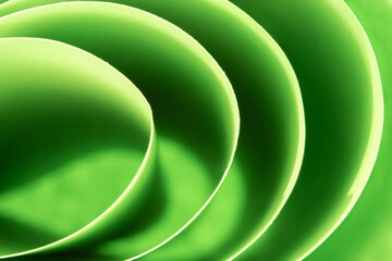 Abstract green colored background with curved lines and shapes