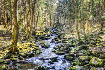 brook in the bavarian forest. Hiking at Saußbachklamm, Waldkirchen, bavaria