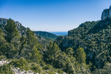 Fototapeta na wymiar view from the top of a mountain in catalonia.