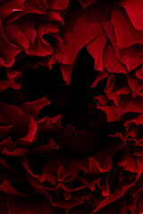 dark red flower petals background vertical