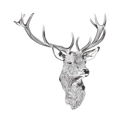 Naklejka premium Black vector silhouette of deer's head with antlers isolated on white background
