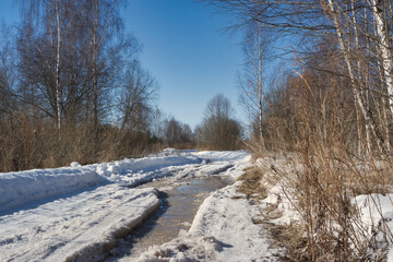 Country road in early spring