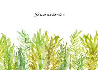 Hand-drawn watercolor seamless border with algae, seaweed of different types in shades of green. Illustration of underwater plants. Isolated on a white background