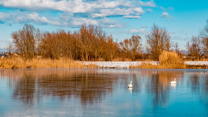 Beautiful winter landscape with reflections in a frozen pond on a sunny day near Wallersdorf, Bavaria, Germany