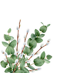 Watercolor bouquet of eucalyptus and pussy willow © Irina Violet