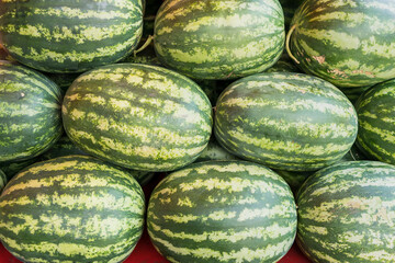 Group of fresh organically grown watermelons in the market.