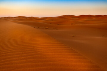 Fototapeta na wymiar Detail of a sand dune at the Erg Chebbi, in Morocco