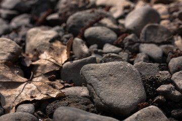 Gravel texture. Small stones, little rocks, pebbles in many shades of grey, white, brown, yellow colour. Background of small wet stones in oval shape. 