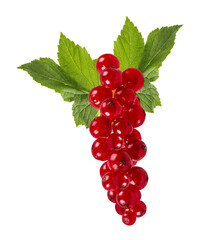 Red currant  isolated on white background with clipping path