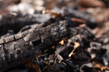 Coals and embers glowing in the remains of a bonfire. Camping.