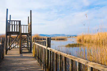 Naklejka premium Natural Park (Paraje Natural del Prat de Cabanes-Torreblanca, Valencian Community, Spain). Beautiful swamps, reminiscent of Florida. Shot from Torrenostra's wooden pontoon and mirador.