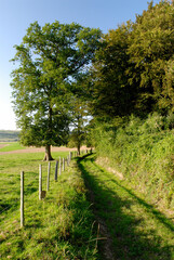 Chemin de randonnée en bord de prairie