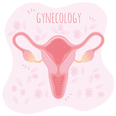 gynecology feminine organ