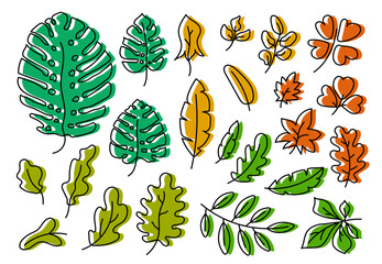 Vector leaves set. Botanical doodle drawing illustration. Multicolor hand drawn sketch. Exotic monstera leaf