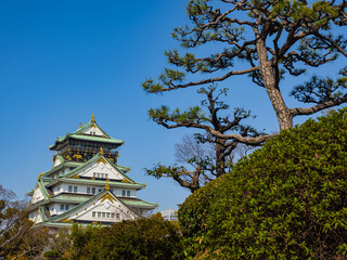 【大阪】日本最大級の入場者数を誇る大阪城