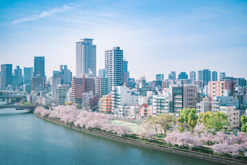 春の大阪の街並み（大川の桜）