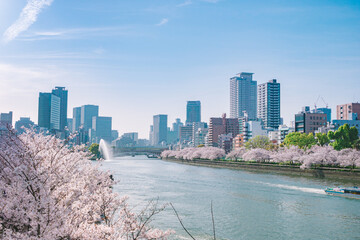 春の大阪の街並み（大川の桜）