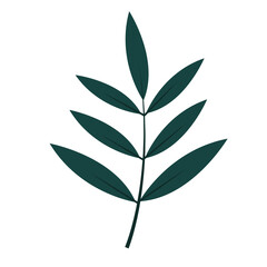 Flat green leaf icon. Natural leaf design element for postcards, posters, greetings. Isolated on a white background. Doodle vector illustration.