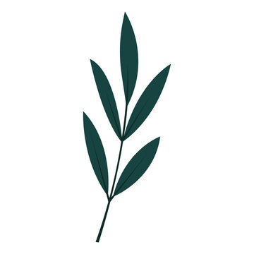 Flat green leaf icon. Natural leaf design element for postcards, posters, greetings. Isolated on a white background. Doodle vector illustration.