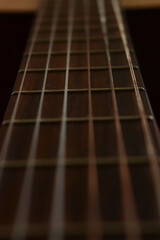 guitar neck with frets and metal strings