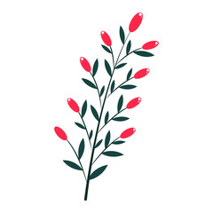 Icon of a plant with red berries. Natural berry element of the design of postcards, posters, greetings. Isolated on a white background. Doodle vector illustration