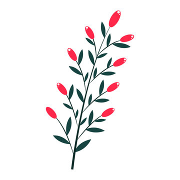 Icon of a plant with red berries. Natural berry element of the design of postcards, posters, greetings. Isolated on a white background. Doodle vector illustration