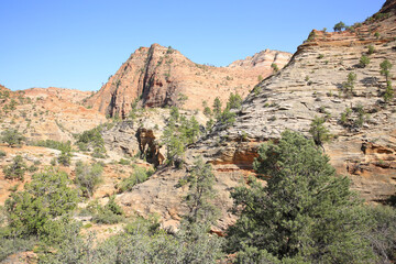Fototapeta na wymiar Zion National Park in Utah, USA