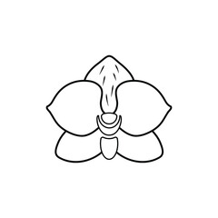Tropical plant thin line vector icon. EPS 10 vector illustration. Orchid flower icon.