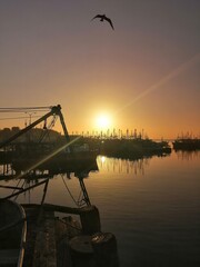 sunset in the port