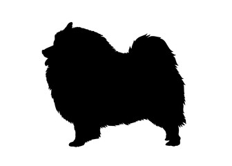 Keeshond dog silhouette, Vector silhouette of a dog on a white background.