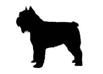 Bouvier des flandres dog silhouette, Vector silhouette of a dog on a white background.