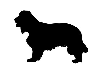 Cocker spaniel dog silhouette, Vector silhouette of a dog on a white background.