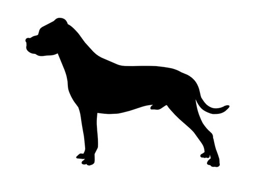 Dogo argentino dog silhouette, Vector silhouette of a dog on a white background.