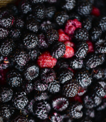 Background of fresh ripe blackberries