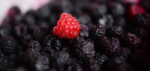 Background of fresh ripe blackberries