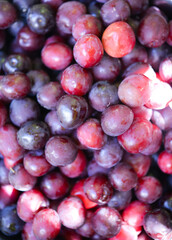 Ripe plums in a bowl