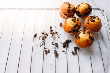 Chocolate Chip Muffins on the oven rack. Homemade baked