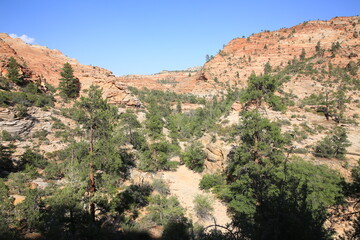 Fototapeta premium Zion National Park in Utah, USA