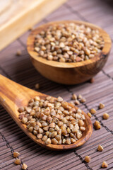 buckwheat seeds on a wooden spoon on the table close-up