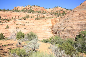 Zion National Park in Utah, USA
