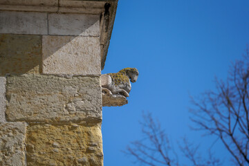 Lime sandstone gargoyles at St. Peter's Cathedral in Regensburg, photographed in spring