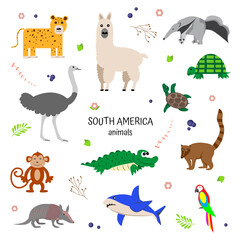 Animals of South America. Educational poster for children. jaguar, llama, ostrich, anteater, shark, monkey, turtle, parrot, education, kids, study, poster.