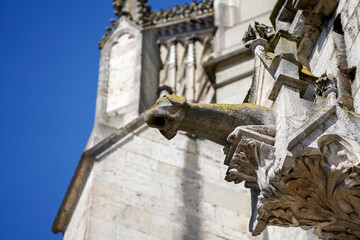 Naklejka premium Lime sandstone gargoyles at St. Peter's Cathedral in Regensburg, photographed in spring